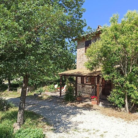 Agriturismo Casa Greppo San Venanzo Εξωτερικό φωτογραφία