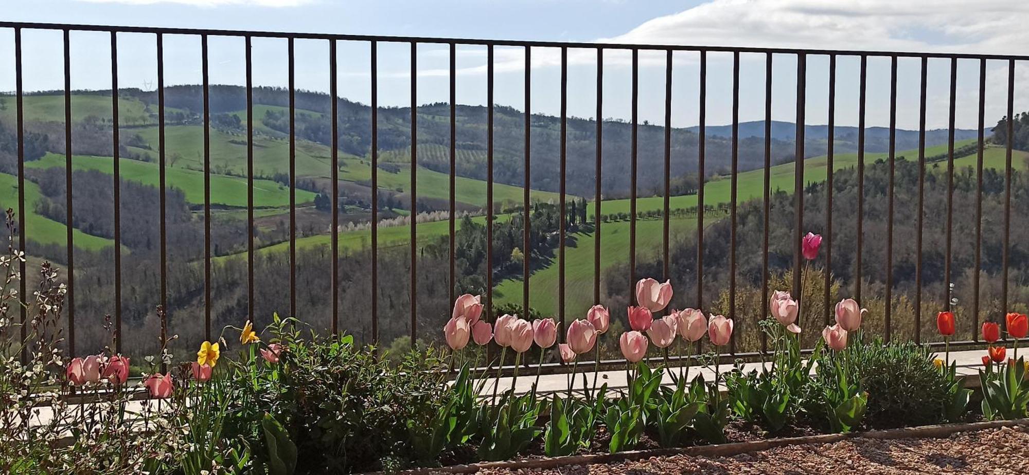 Agriturismo Casa Greppo San Venanzo Εξωτερικό φωτογραφία