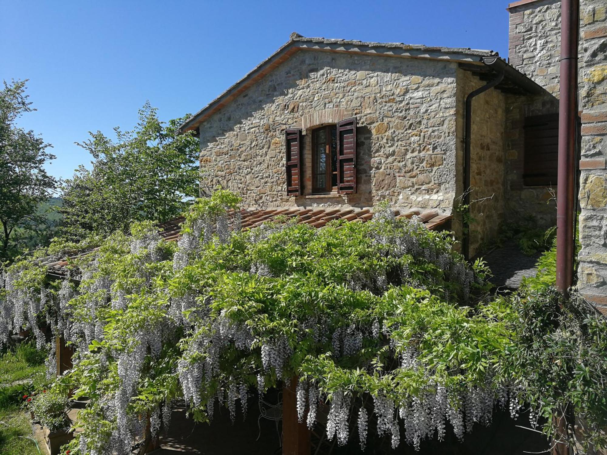 Agriturismo Casa Greppo San Venanzo Εξωτερικό φωτογραφία