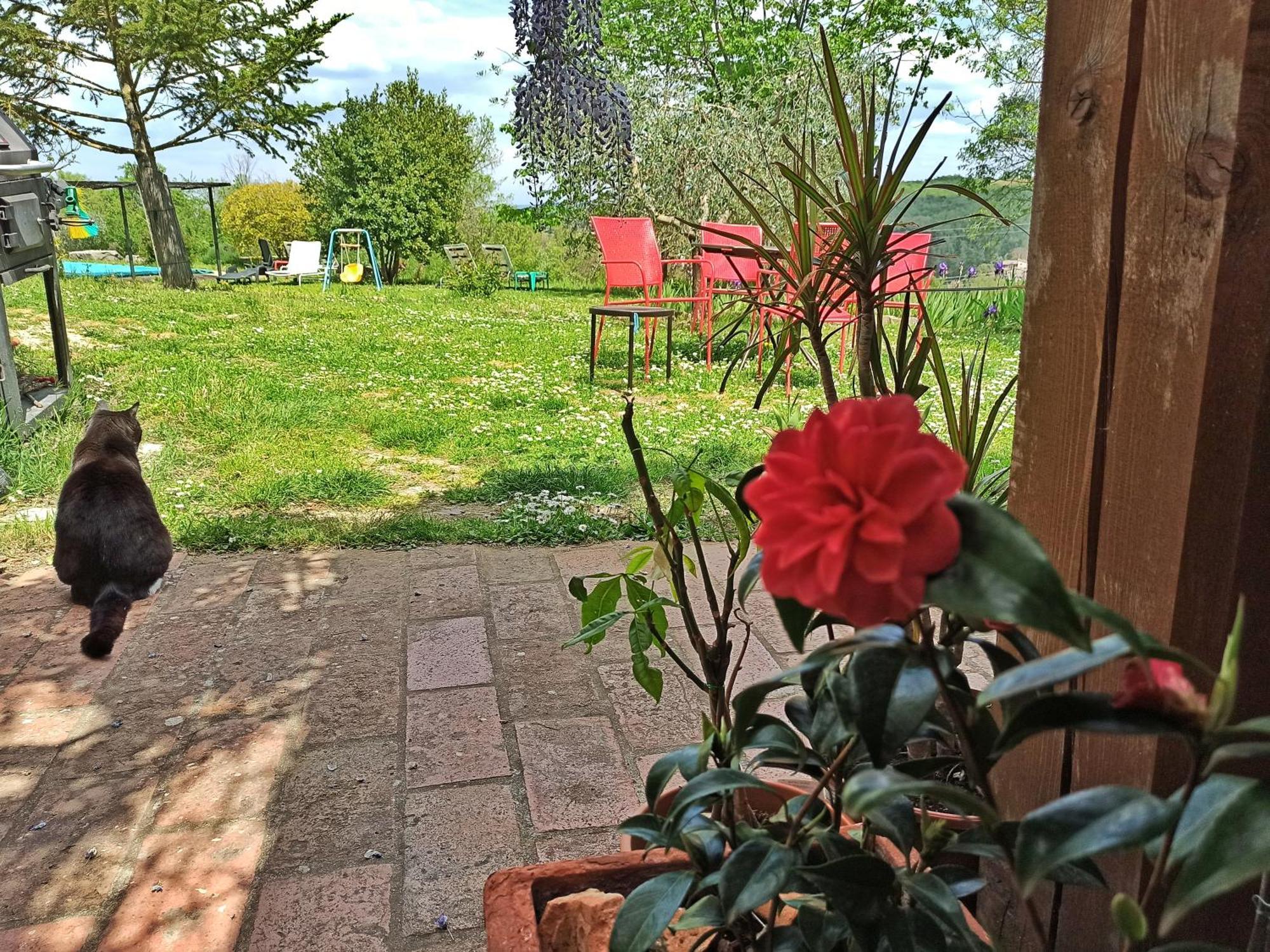 Agriturismo Casa Greppo San Venanzo Εξωτερικό φωτογραφία