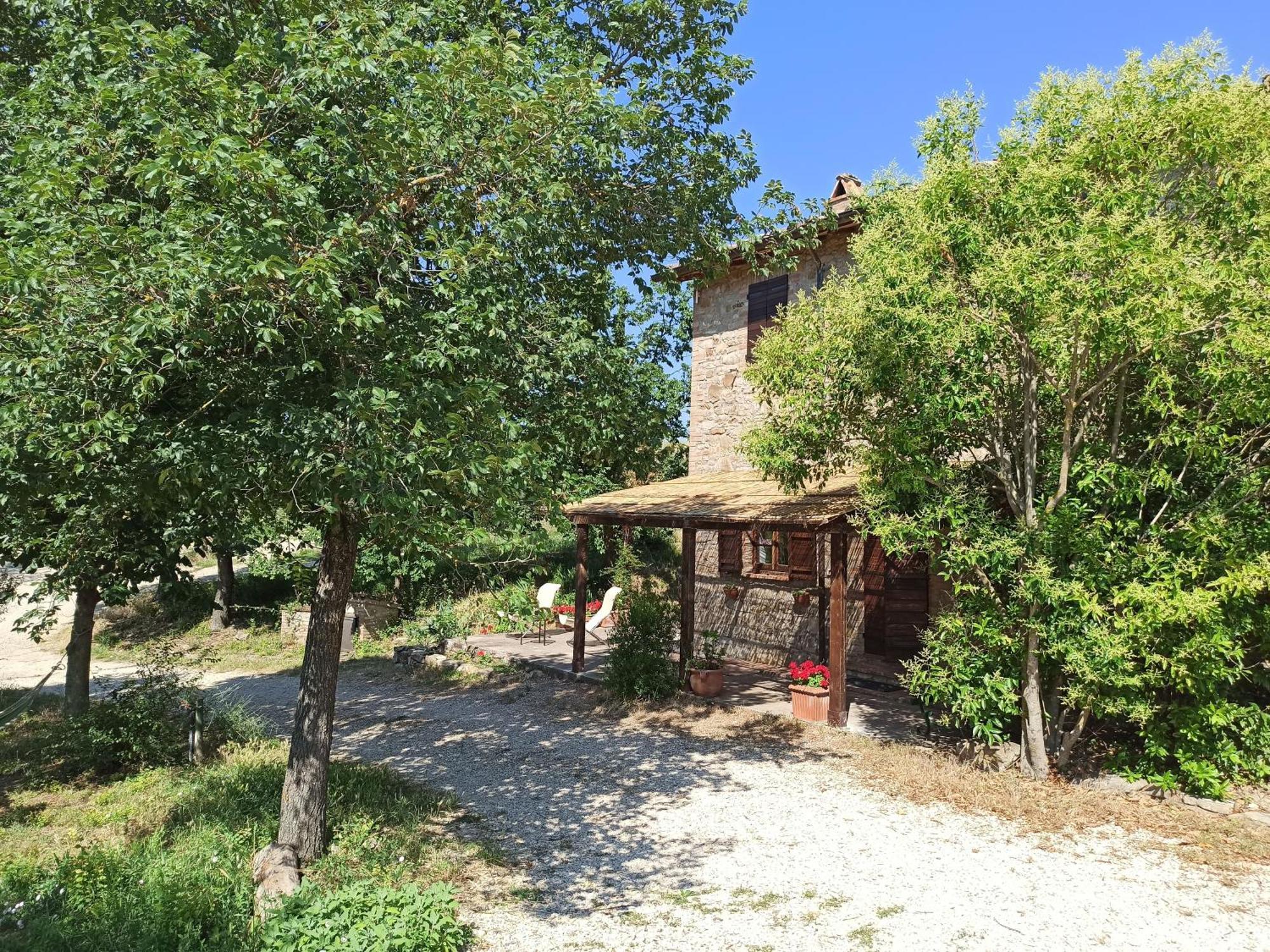Agriturismo Casa Greppo San Venanzo Εξωτερικό φωτογραφία